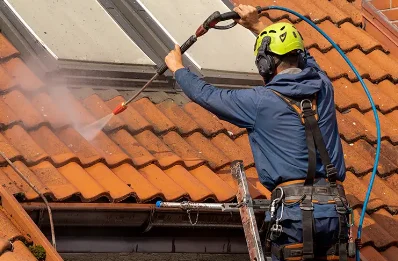 Démoussage et hydrofuge de toiture à Étrembières